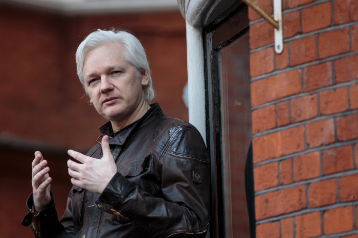 Julian Assange at Parliamentary Assembly hearing, ahead of a