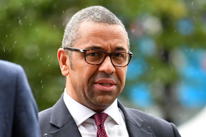 James Cleverly urges Tory members to be 'more normal'