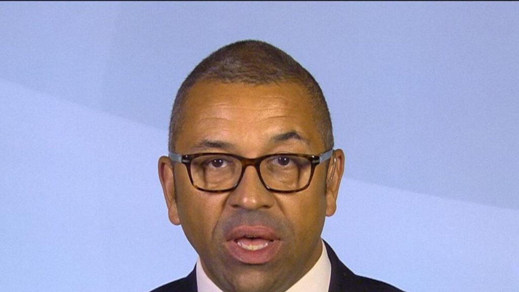 James Cleverly urges Tory members to be 'more normal'