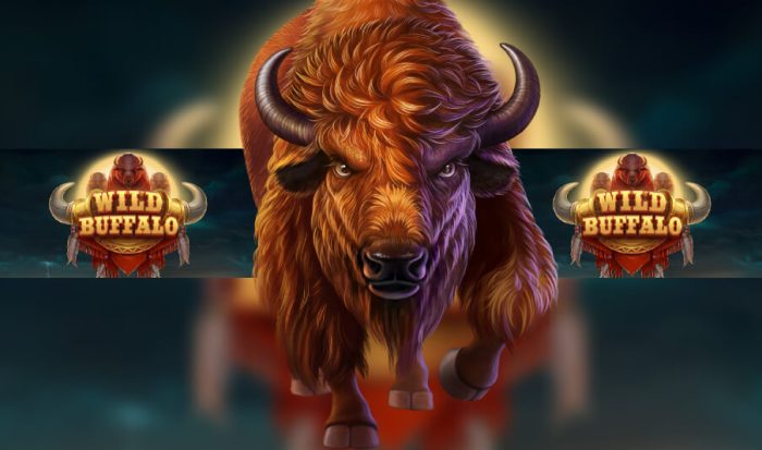 5 Wild Buffalo Slot